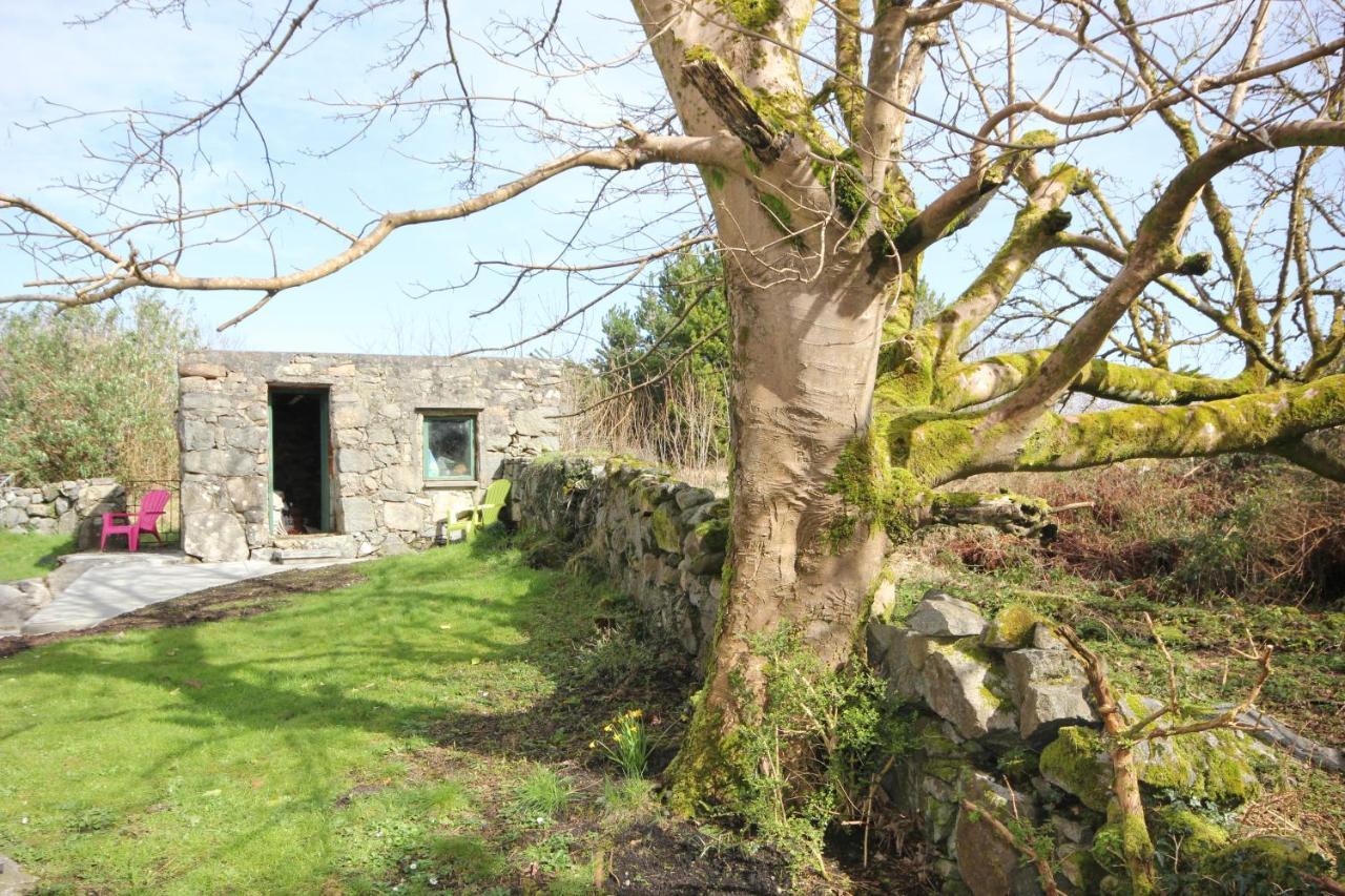 Atlantic Way Cottage غالواي المظهر الخارجي الصورة